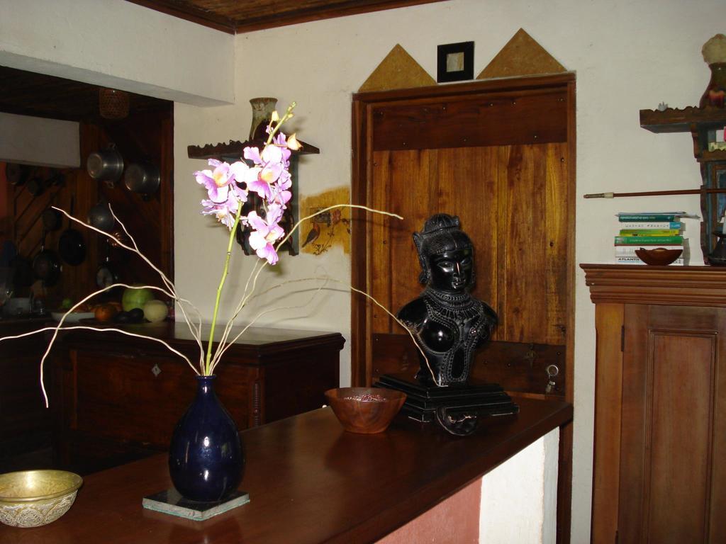 Hotel Veragua River House Sierpe المظهر الخارجي الصورة